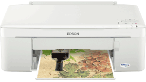 Nạp mực máy in Epson ME320